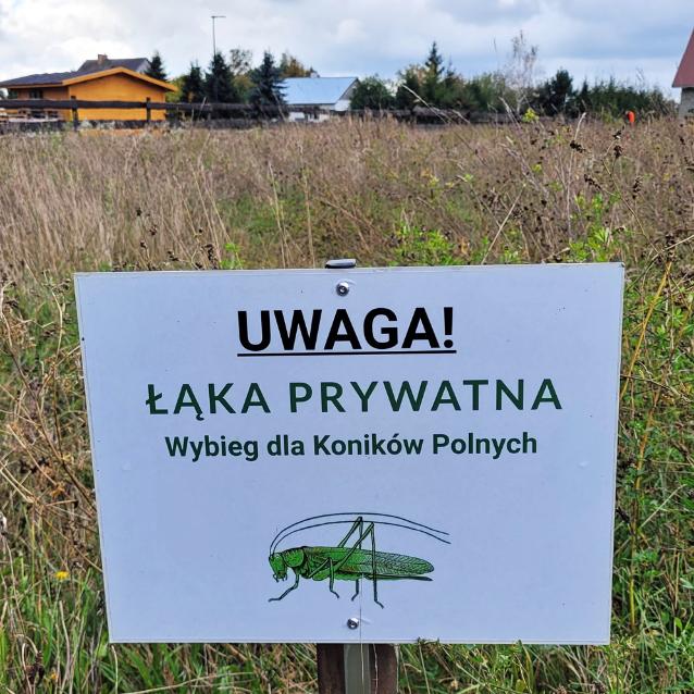 Pulsar - wyjątkowy portal naukowy.